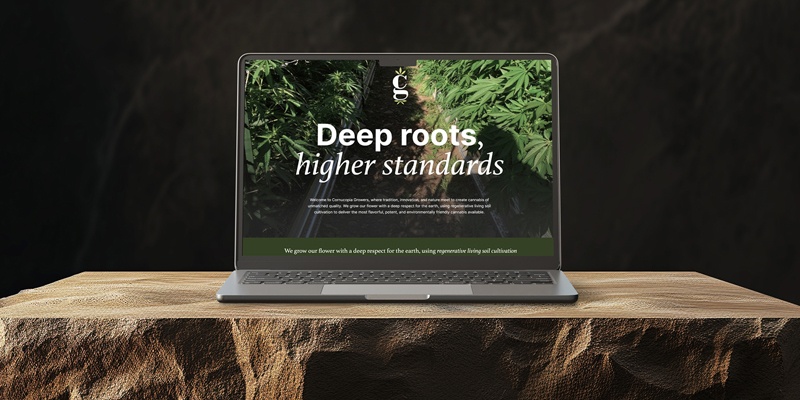 Homepage website design for Cornucopia Growers featuring immersive cannabis photography and premium cannabis cultivation branding.