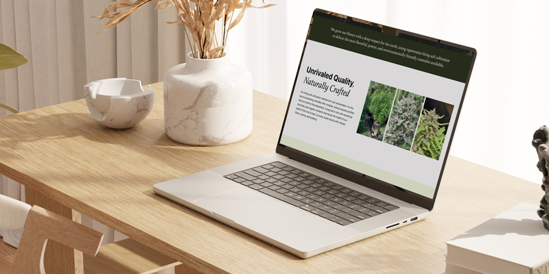 esponsive website design for Cornucopia Growers showcasing premium cannabis products, cultivation imagery, and modern editorial web layout.