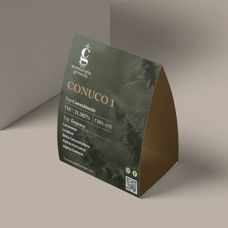 Cannabis dispensary table tent design for Cornucopia Growers showcasing strain information, cannabinoid content, terpene profile, and branded retail signage.