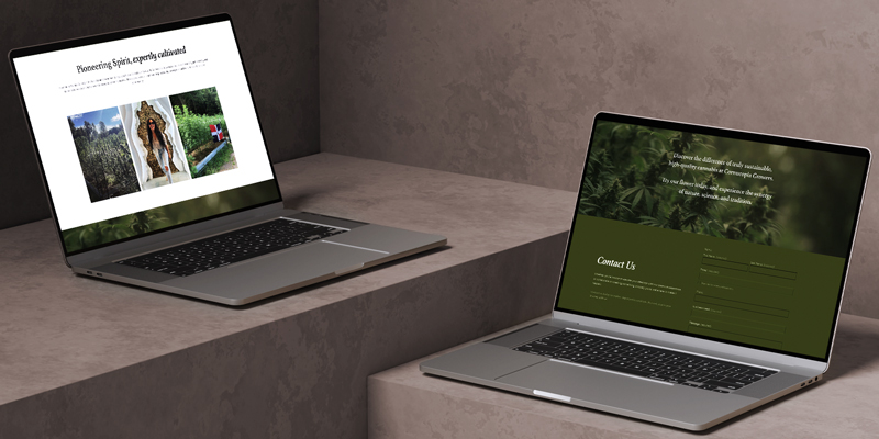 Website design for Cornucopia Growers displayed across multiple laptop screens showcasing responsive cannabis website layouts, editorial imagery, and premium contact page design.