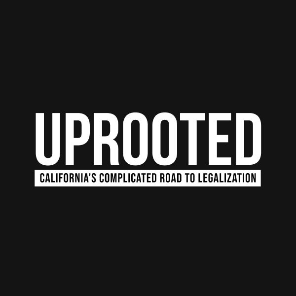 Uprooted docuseries, from Weedmaps, experience from the team at Hellbeing