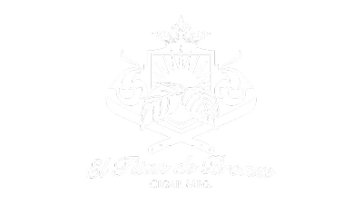 El Titan de Bronze logo