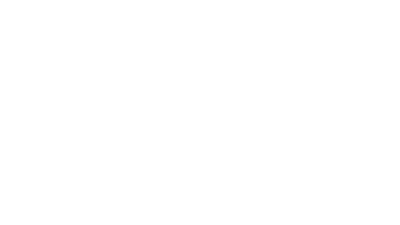 Laudisi logo