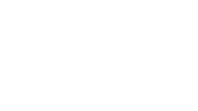 Prizefighter Boxing logo