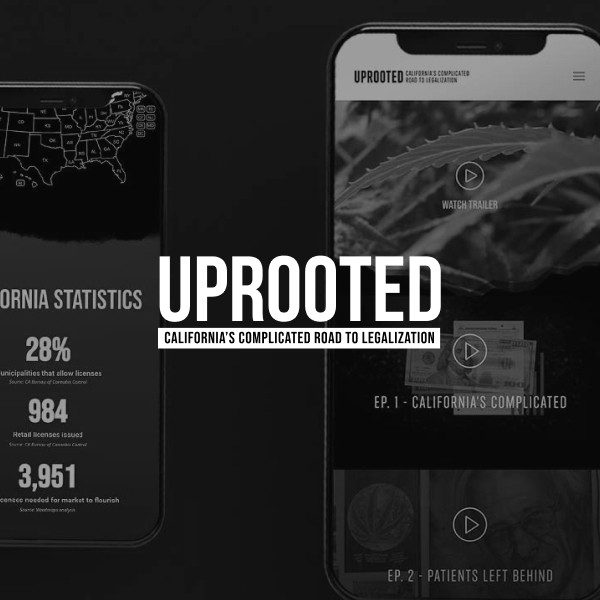 View creative work from the Uprooted Docuseries highlighting California's complicated road to cannabis legalization